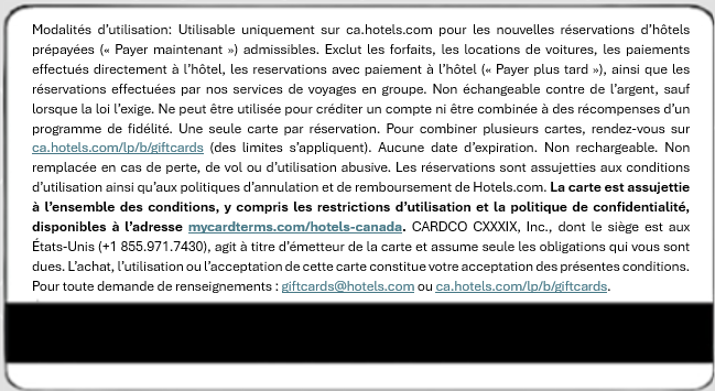 Gros plan sur les conditions générales d'une carte-cadeau d'hôtel en français, avec des liens vers le site web et une section mise en évidence en gras.